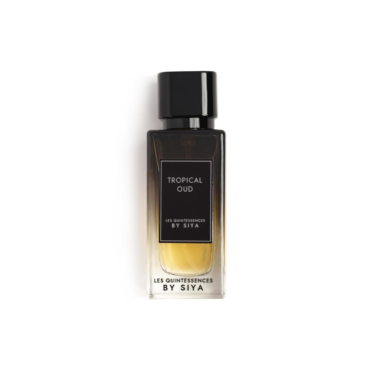 Tropical Oud - Maison SIYA Collection Les Quintessences